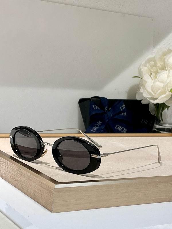 DIOR Sunglasses 254